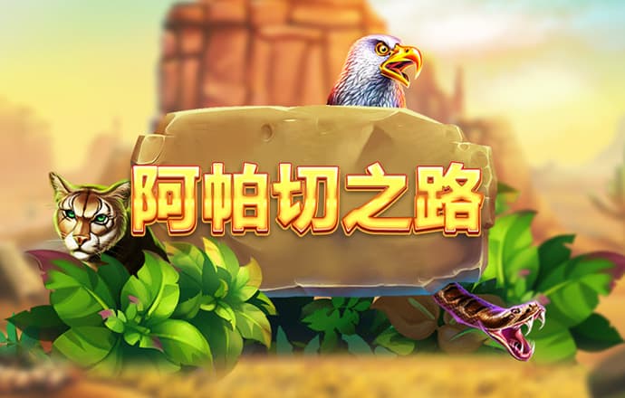 九州bet9登录官网入口